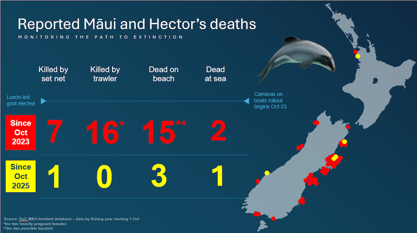 Extinction watch mortality tracker