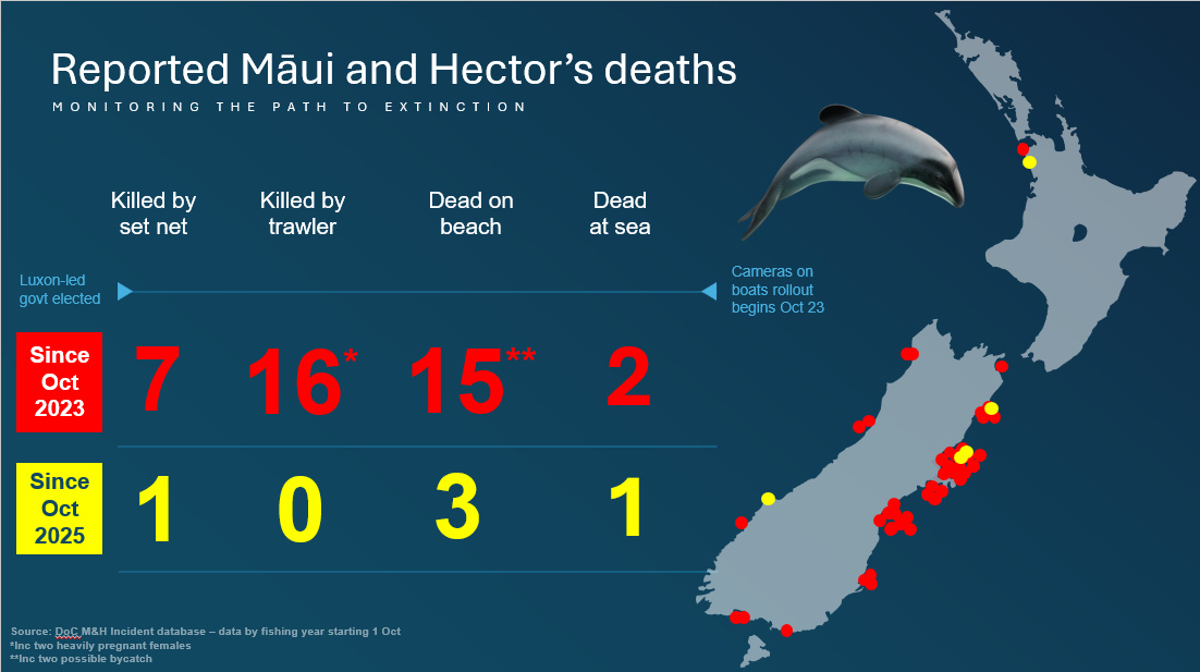 Reported Māui and Hector’s Dolphin deaths