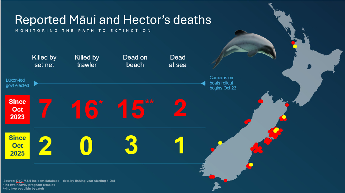 Reported Māui and Hector’s Dolphin deaths