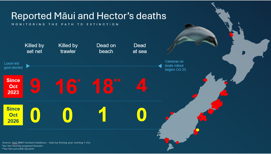 Reported Māui and Hector’s Dolphin deaths