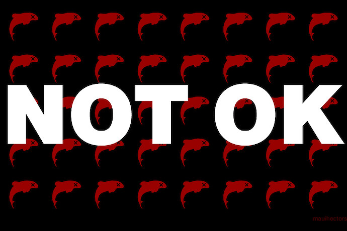 The NZ Government says it’s ok for the fishing industry to kill more than 50 Hector’s dolphins a year. That’s not ok.