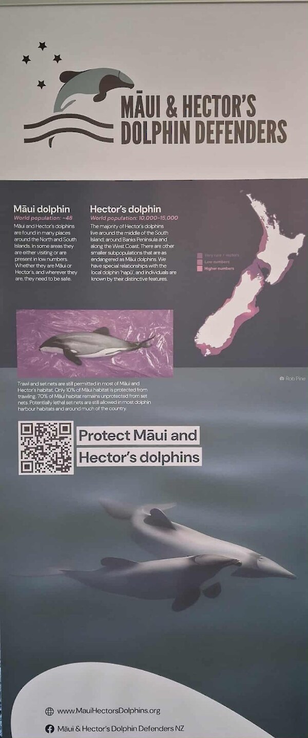 Our poster presentation at the Environmental Defence Society conference in May