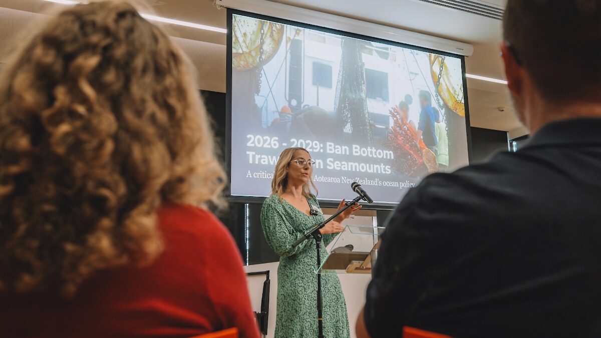 Ellie Hooper from Greenpeace Aotearoa talks against bottom trawling as Labour’s Rachel Brooking and ACT’s Simon Court watch on Photo: Venessa Weston