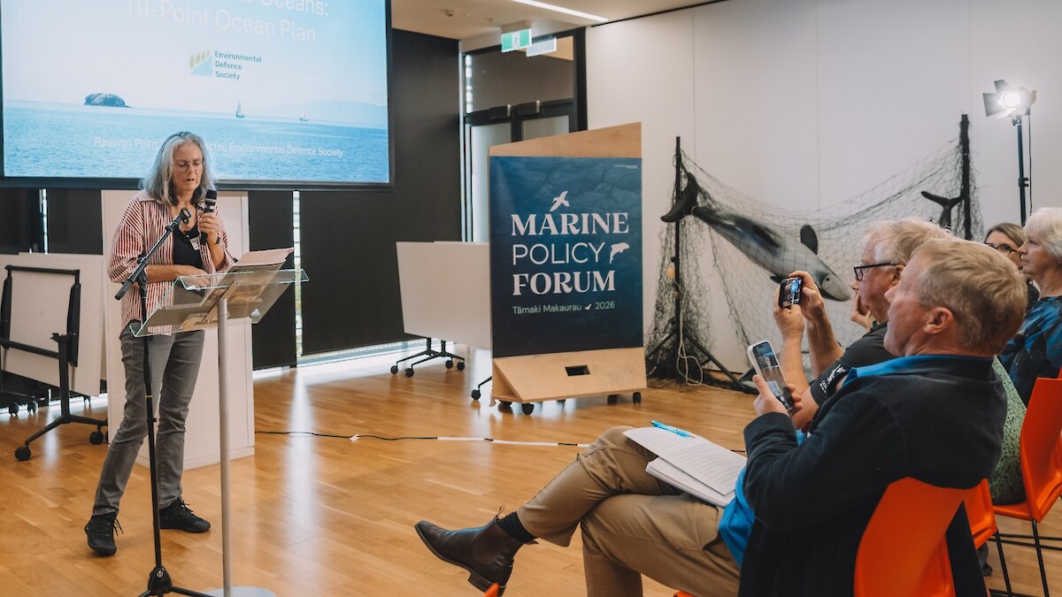 Raewyn Peart outlines a ten point plan for the oceans from Environmental Defence Society Photo: Venessa Weston
